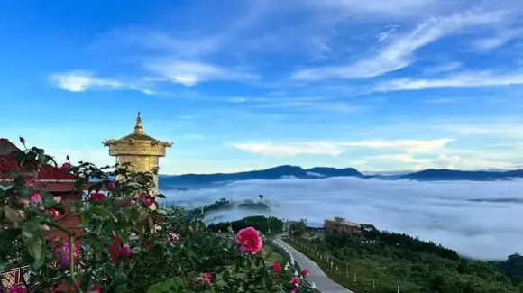 KHÁM PHÁ ĐÀ LẠT – THÀNH PHỐ NGÀN HOA: HÀNH TRÌNH TRỌN VẸN CÙNG THUÊ XE MINH NGỌC
