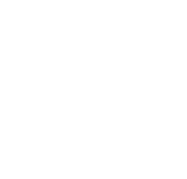 4.8/5